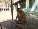 Myanmar 312